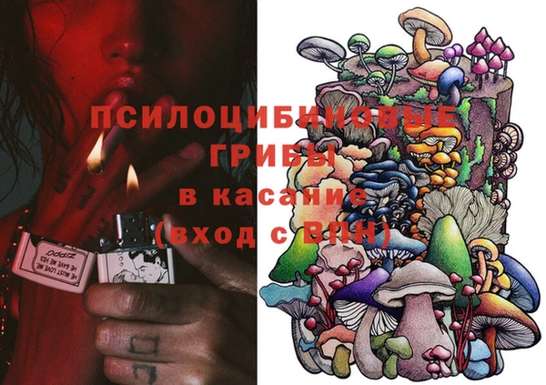 PSILOCYBIN Богородицк